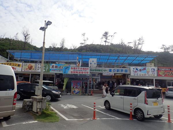 旅の５日目。台風２８号から変わった熱帯低気圧のからのうねりの影響が残ったこの日。<br />こんな日にダイビングできるのは本部町崎本部緑地公園（ゴリラチョップ）くらいでした。北部まで車で遠征してダイビングを楽しみます。<br />帰りのお楽しみは道の駅許田でのランチ。１１月２９日でいい肉（１１２９）の日だったこの日。おいしいサーロインステーキでお腹を満たして帰ります。