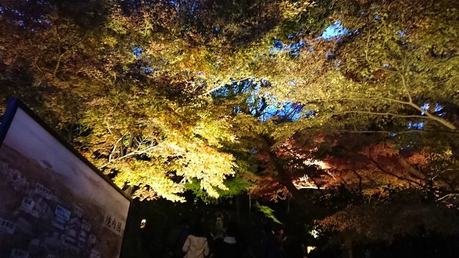 京都の紅葉を見に、数年通っていました。<br />昨年は日帰り弾丸の旅をしたので、今年はノンビリ近場の紅葉を散策に行ってきました。