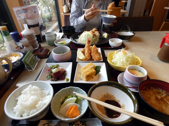 今年は夏野菜がすっかり終わり、秋冬野菜の準備が進んでいます。<br /><br />そこで竹沢園芸種苗で野菜の苗を買って、三島市佐野体験農園に向かい、先日畝建てした場所に定植をして、タマネギの定植に備えてマルチ張りをします。<br /><br />