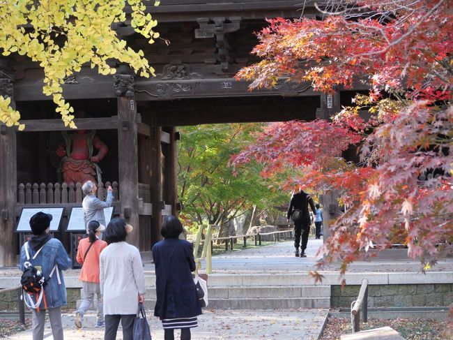 都心の京都と呼ばれ、ブルーヘッドの仏像で有名な「九品仏浄真寺」の紅葉が見頃を迎えたと聞き行ってみた。