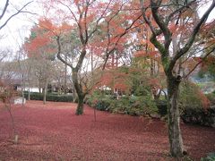 真如堂で遅い紅葉狩り