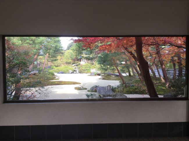 47都道府県の全国を旅して、地元の人々とのふれあい・特産品・地酒にめぐりあい、地元のハーフマラソン以上の大会に参加・完走する「旅ラン全国制覇」を2017.03達成し、全国走破しました。それを更にフルマラソン縛りで『旅ラン全国制覇フルマラソン』に格上げしてます。<br /> <br /><br />旅ラン全国制覇フルマラソン36都道府県目【島根県】<br />「第1回 国宝松江城マラソン(島根県松江市)<br />10年前から始めたマラソンは、ハーフ・フル・ウルトラ100Kmで【83大会目】を迎えました。<br />2009年ホノルルマラソンのフルマラソン・デビューして、【42大会目】のフルマラソン走破となりました。<br /><br /><訪れて場所><br />・日本庭園日本一 連続15年「足立美術館」(島根県安来市)<br />・カラコロ工房 「幸運のピンクポスト」<br />・松江しんじ湖温泉 日帰り入浴施設「ちどりの湯」<br />・(マラソンコース)なかうみ・べたふみ坂<br /><br /><ご当地グルメ><br />・米子駅弁当 吾左衛門鮓「吾左衛門弁当」<br />・出雲そば・ふなつ「千鳥割子そば」<br />・ナクリア「しじみラーメン」<br />・浪花寿し「蒸し寿司」<br /><br />