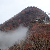 たまには車で／紅葉の金毘羅参りと善通寺・箸蔵寺ほかお寺めぐり２泊３日(^.^)