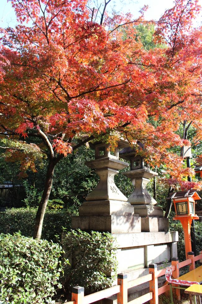 紅葉の時期の京都は一番混んでいると噂では聞いていました<br /><br />しかし、それほど人が集まる紅葉の魅力はどんなものなのか一度は見てみたいと２月から京都旅行を計画<br /><br />ホテルも混雑するということで２月に予約しました<br /><br />どこへ行くかも念入りに計画し、毎日朝から晩まで行動しましたが、楽しい３泊４日をすごすことができました(&#39;ω&#39;)<br /><br />４日目の旅行記です<br /><br />この旅行記が京都旅行の参考になれば幸いです♪<br /><br />１日目<br />https://4travel.jp/travelogue/11430030<br />２日目嵐山編<br />https://4travel.jp/travelogue/11430053<br />２日目雲龍院編<br />https://4travel.jp/travelogue/11430082<br />２日目正寿院編<br />https://4travel.jp/travelogue/11430092<br />２日目勝林寺、伏見稲荷大社編<br />https://4travel.jp/travelogue/11430110<br />３日目<br />https://4travel.jp/travelogue/11430123