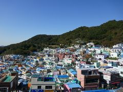 一泊二日で釜山アライグマカフェ&甘川文化村 5