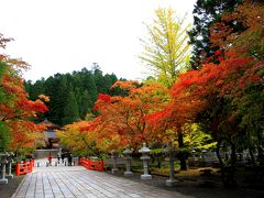 少し早めの高野山の紅葉