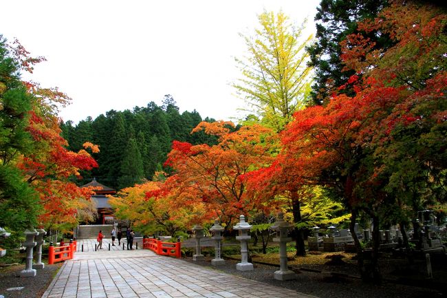 毎年訪問している紅葉の時期の高野山。<br />今年は１０日ばかし早めの１０月２０日に高野山を訪れました。<br /><br />色づき始めの紅葉。<br />これはこれでいい感じでした。<br /><br />英霊殿です。<br /><br /><br />