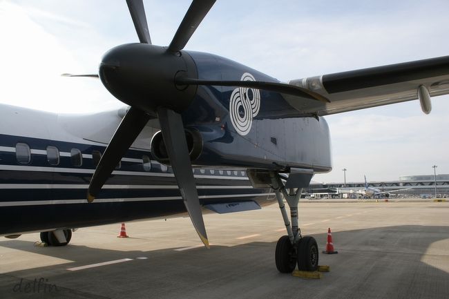 月曜の成田空港、北ウイングにいます、出発です。<br /> <br />水曜に釜山から戻り、「チーズ・カルビ」(タッカルビじゃないよ)の余韻も消えないまま、次の国へ。<br />https://delfin3.blog.so-net.ne.jp/2018-11-21 (チーズカルビ@西面)<br /> <br />う~ん、夏の3連発に続き、今回も「毎週成田」状態です。<br />https://delfin3.blog.so-net.ne.jp/2018-09-04 (チェンライ・ハノイ・プサン3連発)<br /> <br />ほんでもって今回も「3連発」だったりします、次はまだヒミツで。<br /><br />今回の旅は先週の釜山行きより前に決まっていたもので、久々「未踏の国」を踏んづけにいってきます。<br />記憶を遡ると2015年のアイルランドから新規開拓してないのね、あたくし。<br />https://delfin3.blog.so-net.ne.jp/2016-09-04 (アイルランド紀行)<br /><br />バリとか務安とか知らない土地には踏み入ってますが、「未踏国」はでんでんでした。(by和歌山訛り)<br />ここ数年、燃油サーチャージが高いですからね、近場ばかりで足伸ばせてないのです。<br /><br />あ、すみません、ドコ行くんだ? ってハナシですね、LCCでヨーロッパです。<br /><br />つづきは<br />おんたいむウラジオストク<br />https://delfin3.blog.so-net.ne.jp/2018-11-26
