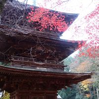 紅葉の湖東から湖北そして甲賀  名著と巡る十一面観音像の旅　