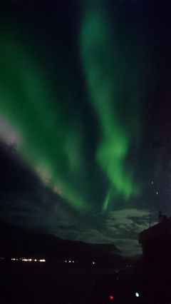 パリ、アイスランド、バルセロナ！盛り沢山旅行記 ６日目（今日はゴールデンサークルとオーロラ鑑賞！）