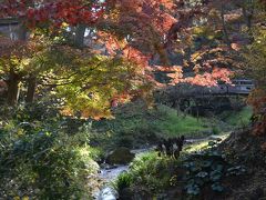 横浜の紅葉　２０１８　馬場花木園、三溪園