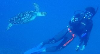 冬でも暖かい沖縄へ（１８）恩納村ダイビング・美しいサンゴ、トウアカクマノミ、真栄田岬のウミガメ。ランチは花織そば。ディナーはルームサービスカレーとそば