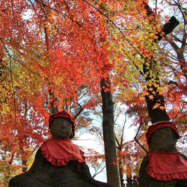 九品仏浄真寺の紅葉が見頃の様なので行って来ました。<br />九品仏浄真寺の広い境内の龍護殿（本堂）の対面に3つの阿弥陀堂（上品堂、中品堂、下品堂）があり、それぞれに3体合計9体のそれぞれ印相の異なった阿弥陀如来像が安置されています。この9体はそれぞれ、上品上生（じょうぼん・じょうしょう）、上品中生、上品下生、中品上生、中品中生、中品下生、下品上生、下品中生、下品下生という、浄土教における極楽往生の9つの階層を表しており、これらをあわせて九品（あるいは九品往生）といわれます。この九品の仏から、浄真寺は通称「九品仏」と呼ばれています。<br />紅葉の時期に参詣するのは４年振りです。２年前には桜が満開の時期に訪れました。それぞれの旅行記は下記の通りです。<br />東急トライアングル紅葉巡り　https://4travel.jp/travelogue/10959810<br />東急トライアングル桜巡り　　https://4travel.jp/travelogue/11129733