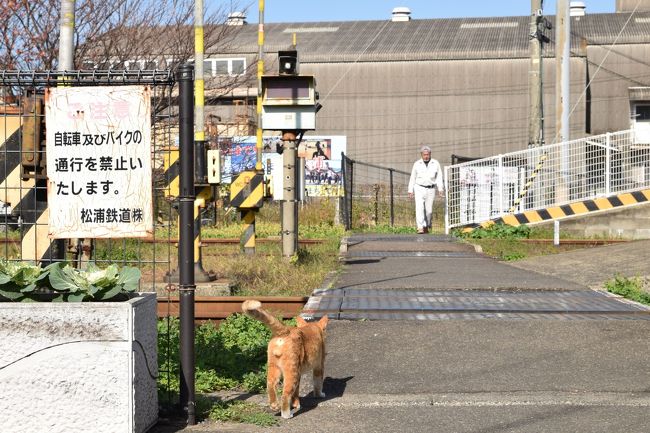 10月始めに「今年はまあまあ旅に出たけど、あと何県行けるかな」<br />とふと思い、行けそうな県をチェックしていきました。<br /><br />沖縄と九州だけは来年に持ち越しになりそうだったのですが<br />大好きなバンドが12月始めに沖縄でライブをする事になったので<br />このチャンスに行くしかないな!<br />一年で47都道府県全部行ける事なんてこの先の人生でもうないな!<br />と、多少強引な手を使ったりなんなりで、47都道府県踏破しました。<br /><br /><br />※九州に行くと毎回、余韻が残りすぎるというか<br />旅気分がいつまでも抜けず、帰ってきても<br />ずーーっとぼんやりして過ごしているのですが<br />抜けるのを待っているとなかなか書けないので<br />とりあえず旅行記に取りかかる事にしました。<br />(なので今のところ終わりが見えません)<br /><br /><br /><br />旅全体……11月28日~12月3日 この旅行記……11月28日 初日