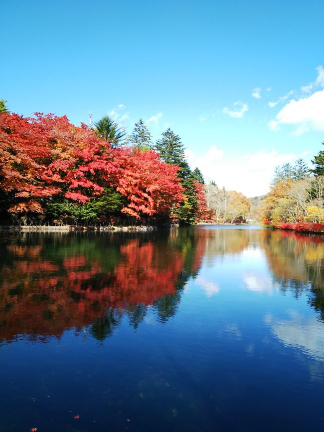 初めての旅行記です。<br />地方在住ゆえに気軽に軽井沢に行けなくなったこともあり、思い入ればかりが先行していてお見苦しいかと思いますが、備忘録も兼ねての文章です。<br />