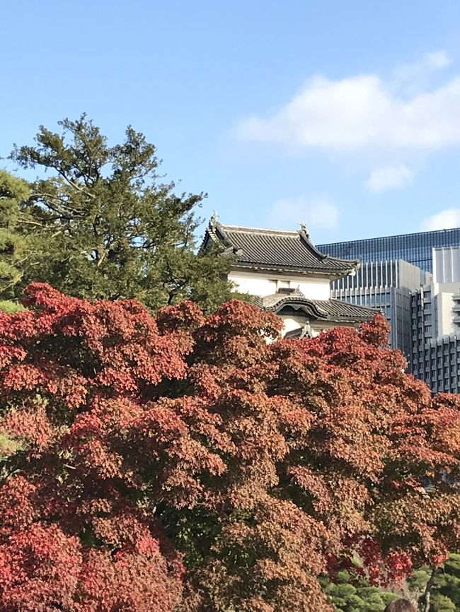 秋の乾通り一般公開が、明日までなので、ちょうど東京へ行ったので通り抜けてみました。