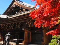 播磨国一の宮と書写山の紅葉