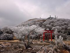 鶴見岳の霧氷　2018