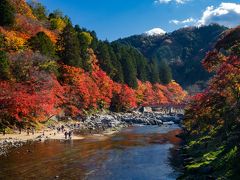 日帰り紅葉旅　小國神社～香嵐渓～小原の四季桜