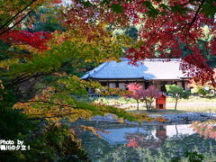 加茂　浄瑠璃寺の紅葉！2018年