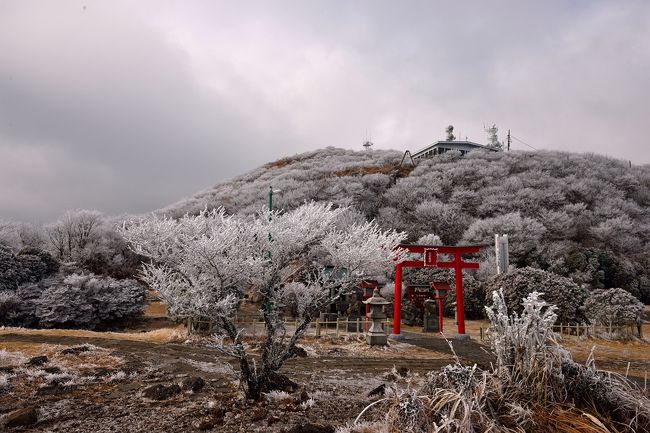 　12月8日、鶴見岳（1375m）で昨年より約2週間遅れて、初霧氷が観測されました。<br />