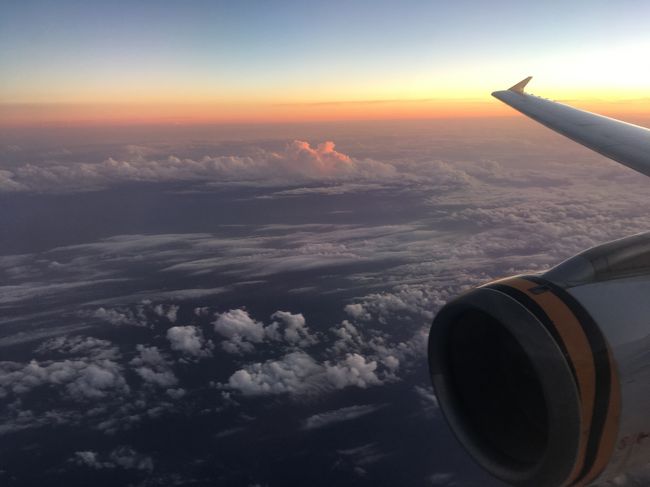 短い台北旅行もこれでおしまい。<br />４日目：13時半桃園国際空港発（タイガーエア ）17時半成田国際空港着