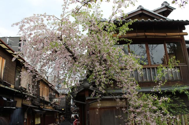 2018年4月上旬、京都へ。<br />今回の旅の主目的は花見、2日間という短い時間でしたが京都を堪能できました。