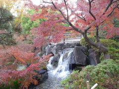 府中の森公園の紅葉 東府中 2018/12/03