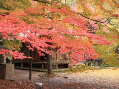 ツアーで行く　“元乃隅稲成神社・角島大橋と国東半島の絶景　＆　世界遺産宗像大社と軍艦島クルーズ3日間の旅”　行ってきました！　№2　2日目（大分県編）