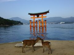 初秋の宮島　母子旅行