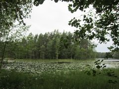 森と湖の国フィンランドは本当だった　　ヌークシオ国立公園