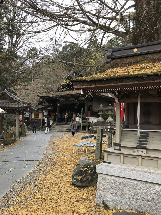 朝早く、暗い寒い中、西国33ヶ所巡り、某旅行社主催日帰りバスツアー！今回は、4ヶ寺お参りしました。いつも大人数ですが今回少人数でサクッと回れて早く戻れました。<br />結願まで、まだまだですが、最後までお参りしたいです。楽しいです！1日6回般若心経を詠みました！これも楽しいんです！