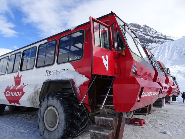 雪景色のバンフ、コロンビア大氷原の雪上車とアイスウォーク１日観光