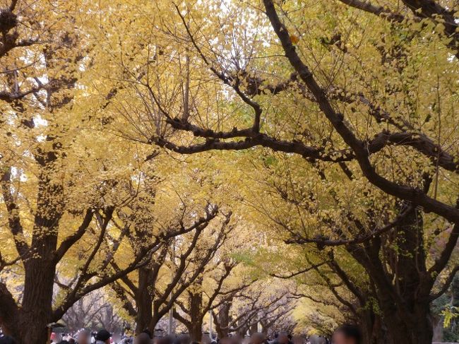 明治神宮外苑のいちょう祭りに行ってきました。<br />いちょう並木が見事でした。<br />せっかくなので、駅からハイキングを活用して周辺散策もしてみました。