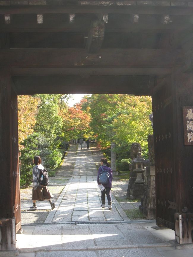 とうとう桂離宮、見てきました！　　　　　　【6】《京都アートの旅　３日目-その１》　　　　　三十三間堂、養源院、智積院