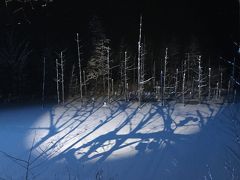 冬の北海道 4日間 その2 富良野～美瑛～旭川