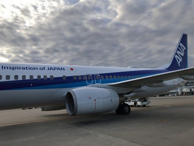 2018年12月10日から11日にかけて、東京へ行ってきました。<br /> 富山空港サポーターズクラブ(個人会員)のキャンペーンの一環で、富山羽田便6回搭乗(各1・4便は片道1.5回でカウント)すると、5,000円分のANA旅行券又はお買い物・お食事券がもらえます。<br /> そのために航空機に乗るのもどうかと思いますが、前月に続いて富山発最終便で羽田へ向かい翌日朝の1便で帰ってくる弾丸旅行pt2を決行しました。(笑)