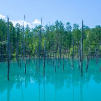 久し振りの北海道は思っていた以上に広かった