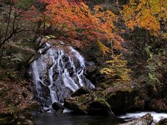 ◆晩秋の鮫川～名残り紅葉の江竜田の滝巡り　