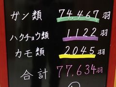 野鳥撮影記録2018年１２月　-　伊豆沼・蕪栗沼　B