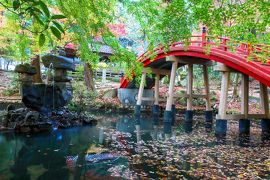 今高野山 龍華寺の紅葉  2018