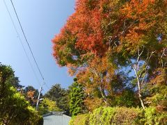 玉巌寺の紅葉_2018（2）_11月末、紅葉の進み具合は、７～８割くらいでした。（群馬県・太田市）