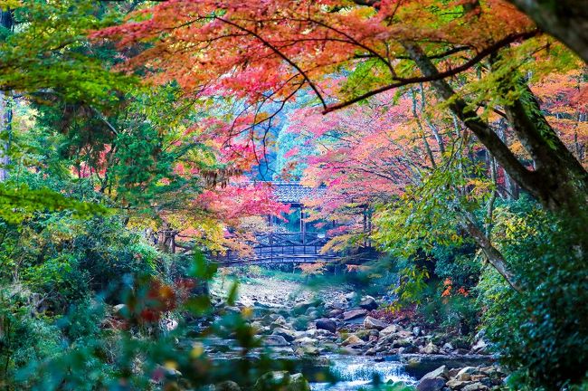 佛通寺の紅葉 2018