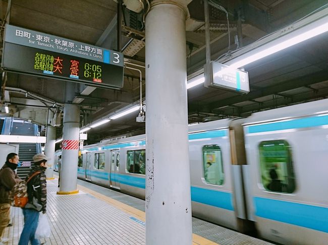 年越し前に祖母に会いに行きたい!<br />でもそんなに長居できない…<br />というわけでひとり弾丸帰国。<br /><br />深夜便に乗り、早朝4時半ごろ<br />羽田に到着しました。<br />とりあえず祖母の住む川口まで行こうと<br />京急線に乗って品川まで出ました。<br />小学生5年生まで高輪に住んでいて<br />品川駅が最寄り駅だったので<br />とっても懐かしく感じました。<br /><br />品川駅からは京浜東北線に乗り換えて<br />川口まで行き、まだ7時にもなって<br />いなかったので、そのままジョナサンに<br />行って朝にハンバーグを食べました。<br />そのあと、スーパーやドラッグストア<br />をはしごして、買い物を済ませて<br />祖母に会いに行きました。<br /><br />お昼ごろに祖母のところに到着し、<br />夕方まで祖母と過ごしました。<br />今回も元気そうで安心しました^^<br /><br /><br />★★ 0泊弾丸帰国スケジュール 11/30~12/2 ★★<br />11/30 UO624 23:50→翌04:45<br />12/2 UO625 06:25→10:45<br /><br />★★ 0泊弾丸帰国旅行記 11/30~12/2 ★★<br />1★香港エクスプレスで香港から羽田へ<br />https://4travel.jp/travelogue/11431812<br />2★羽田到着!懐かしの品川経由で祖母に会いに川口へ ~ジョナサン~<br />https://4travel.jp/travelogue/11432059<br />3★元同級生の友達と銀ブラ ~bills銀座・GINZA SIX・スターバックス~<br />https://4travel.jp/travelogue/11432331<br />4★シャワーしてネットしてぶらぶらして 真夜中の羽田空港<br />https://4travel.jp/travelogue/11432342<br />5★香港エクスプレス利用 羽田から香港へ<br />https://4travel.jp/travelogue/11432354