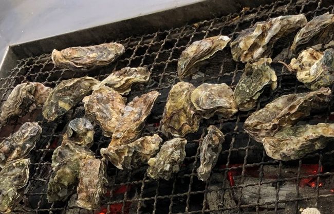 先月くらいから牡蠣が食べたくて食べたくて…。旦那様に相談したところ、<br />「岡山行く?牡蠣食べ放題のお店あるよ。」って。<br /><br />牡蠣食べ放題なんて、夢みたい!行くに決まってんじゃ~ん!!<br /><br />早速行ってきました(^^♪