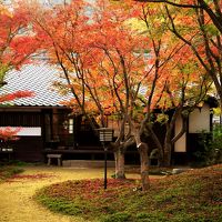 紅葉の錦帯橋と宮島へ　（２）錦帯橋＆周辺の紅葉とライトアップ