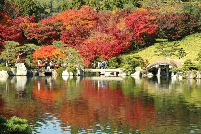 地元のテレビ番組で、広島空港に隣接する「三景園」の紅葉が見頃だと言っているのをみて、急遽紅葉狩りに行ってみることにしました。<br />三景園を訪れるのは２回目。<br />紅葉の季節に訪れるのは初めてです。<br />もみじまつりは１１／３～２５まででした。<br /><br />広島空港は開港２５年周年ということで、「あら！いい！広島空港キャンペーン」を行っています。<br />今季限りで引退した広島カープの新井選手の背番号は「２５」。<br />２５つながりということで、空港とその周辺でスタンプラリーをやっていて、スタンプを集めると新井さんグッズがもらえるというもの。<br />飛行機に乗るために空港へ行く時には、のんびりスタンプラリーはやっていられないけれど、この日時間はたっぷりあるので、スタンプラリーにチャレンジしてみました。<br />飛行機に乗らないのに空港へ行くって変な感じでした。<br /><br />帰りには東広島市西条町へ寄り道し、お気に入りのカフェでスイーツを食べ、日本酒のグッズを買って帰宅。<br /><br />充実した１日でした。