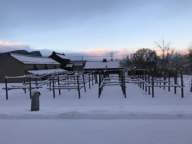 大好きなゴールデンカムイの舞台、北海道に一泊二日で行って来ました。<br />余市などで脱線もしつつ下調べもあまりせずでしたがとても楽しかったです。<br />ざっくりした写真と感想です。<br /><br />1日目は千歳空港～余市～小樽～札幌泊でうろうろと。