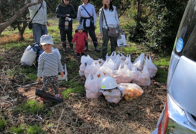 友人の農園でミカン狩り…のついでに40㎞歩いてみる。