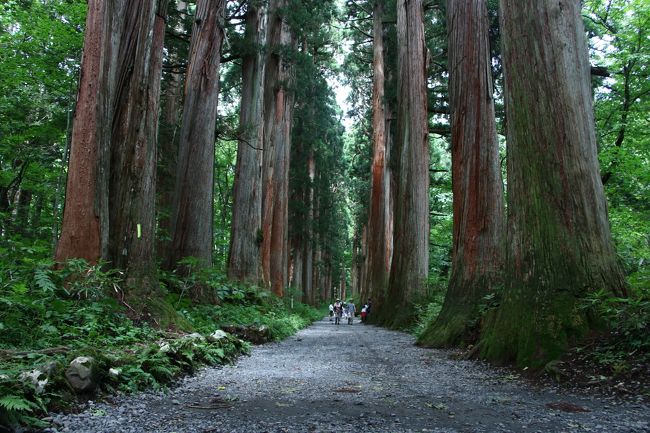 今年の夏は異常に暑くて、いつもならば気温が３０度超すくらいで、暑いといってうるさくなっていたけれど、最近は３５度以上ぐらいにならないと話題にならず、世間の気温に対する感覚がマヒしてしまったような気がする。<br />そんな中、長―いお盆休みに“海外旅行”でも行ければいいなって、計画しようとしたが、候補となるのが“タイ”や“香港”などの日本よりも赤道に近いところばかりで。なにを好き好んでこの暑い季節に行く？行くにしても、今じゃないよね。と、自分でぼけて自ら突っ込みをいれたわけです。<br /><br />ということで、いきなりスケールが小さくなり、信州方面に一泊にて旅行をすることにした。国内では、盆休みの期間は人出が“はんぱないって”。一旦、車の渋滞やら観光施設内の順番待ちに合うと大変だし、そこのところは必要最低限にとどめた計画となりました。<br /><br />